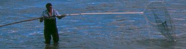 Dipnetting for salmon in the Copper River
