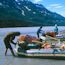 Local Guides & Outfitters