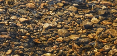 The clear water of the Charley River