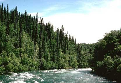 Alagnak River rapids