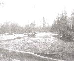 Ship Creek  Good Fishing