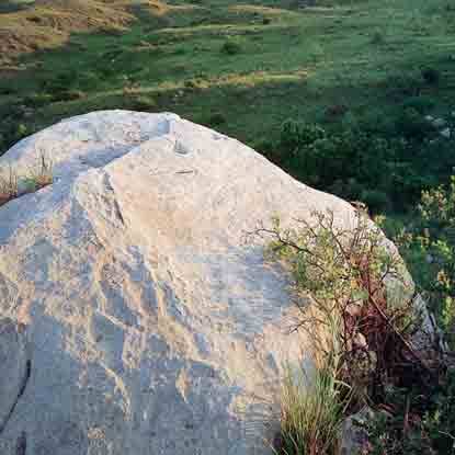 Turtle petroglyph near Antelope Creek village ruins at Alibates Flint Quarries