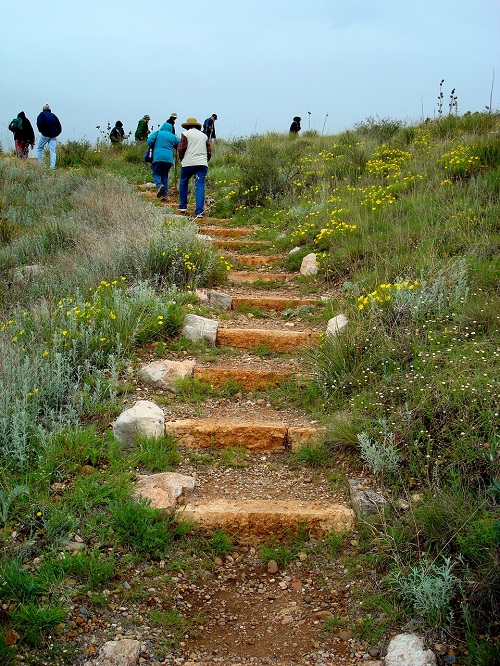 More of the trail ALFL May 2009 by Kris Abu-Hantash