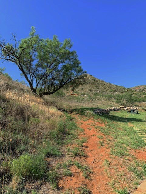 The Mesquite Trail in Spring