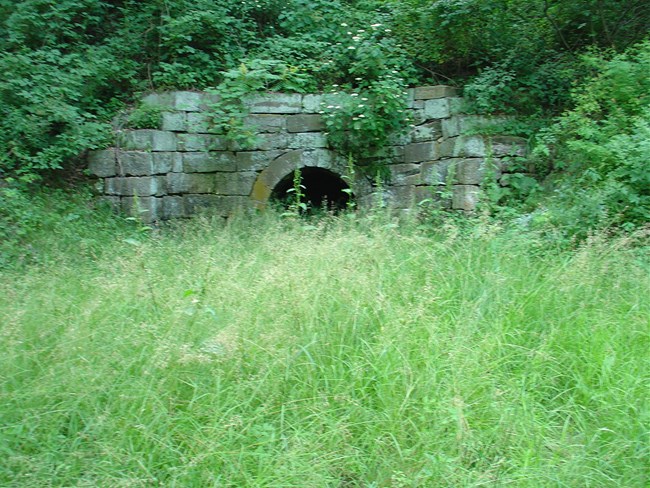 Photo of a culvert along the trail