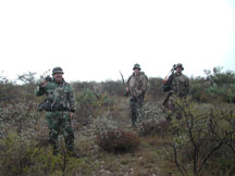 Hunting