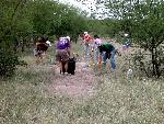 LAFB Volunteers