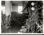 Steam Plant after 1932 flood