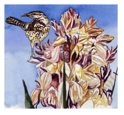 Wren by Carolyn Todd