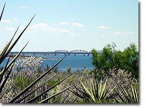 View of lake and highway 90 bridge in the distance through flowering cenizo and agave.