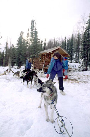 A photograph of a sled dog team in front of a Bureau of Land Management cabin