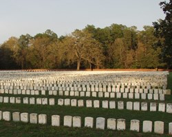 A large group of headstones in sunset lighting