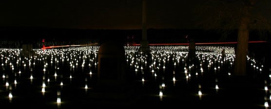Candle luminaries illuminate a night setting