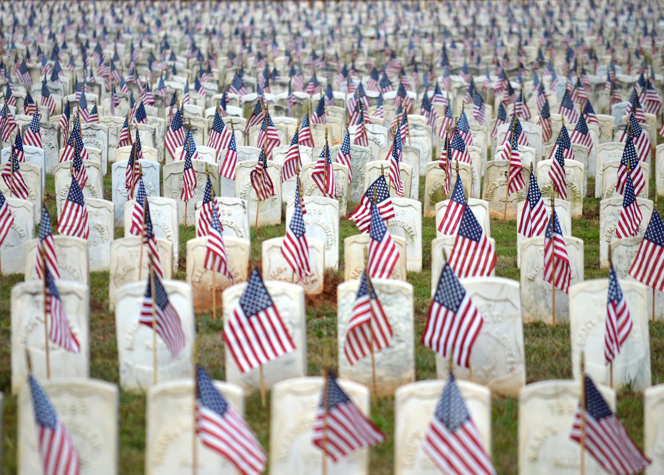 Flags on graves at Andersonville National Cemetery