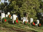 Wreaths on graves