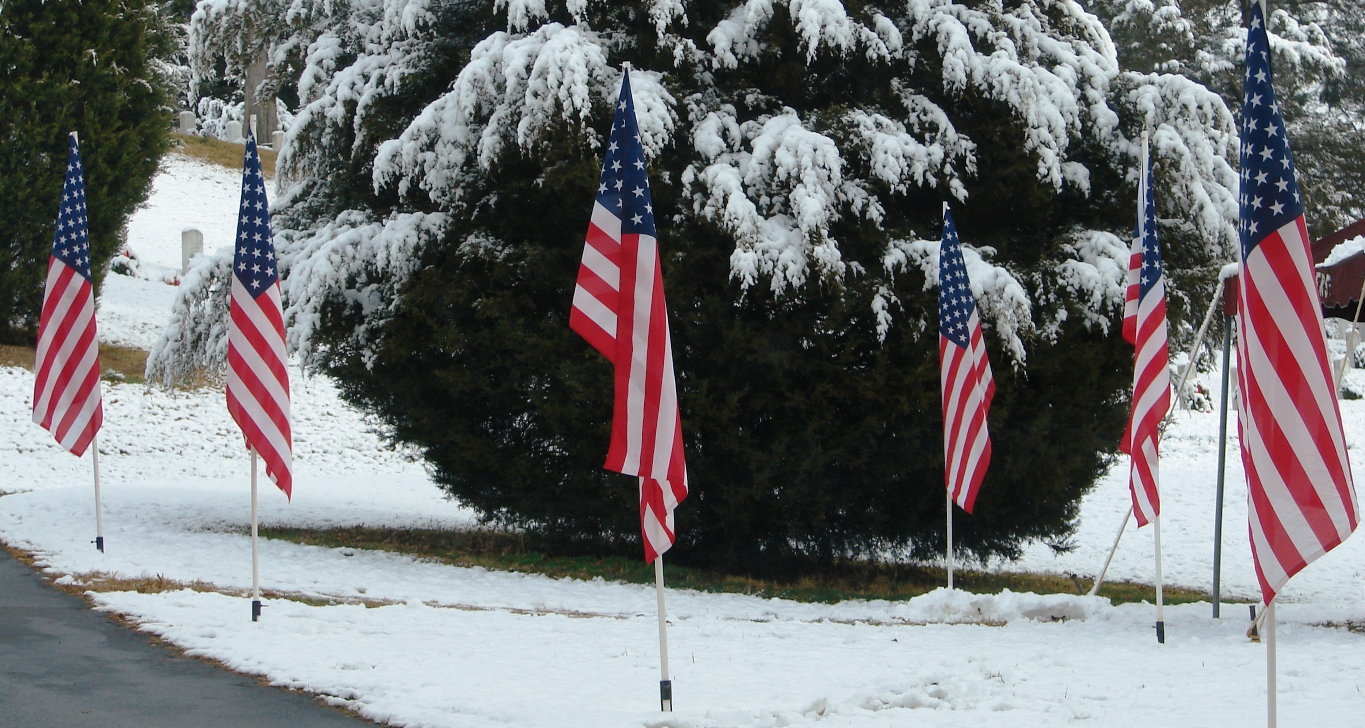 snowy flags