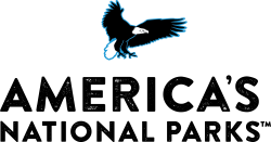 ANP logo with eagle