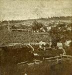 Greeneville