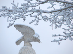 monument-snowy-eagle