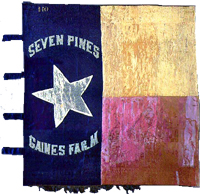 1st Texas Flag