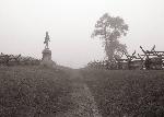 Sunken Road shrouded in fog