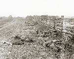 Confederate dead along the Hagerstown Pike