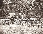 Graves at Burnside Bridge