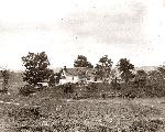 Roulette Farm