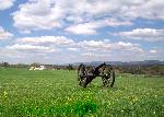 Cannon Landscape