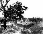 Bloody Lane