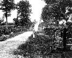 Mansfield Avenue