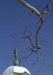 Maryland Monument in Winter