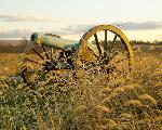Cannon in the high grass