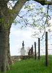 Tree Framed Monument