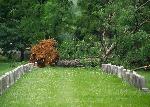 National Cemetery 2