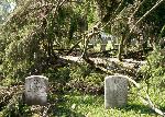 National Cemetery 6