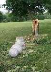 Monument Toppled