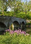 Burnside Bridge in spring