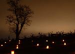 Luminaries at Bloody Lane
