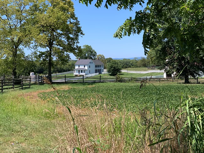 white farm house on sunny day