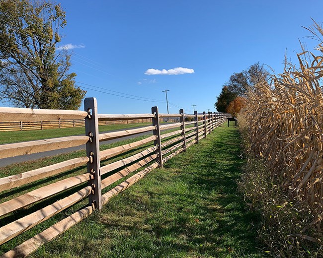 fence along a road