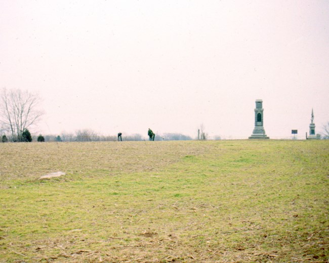 Planting Trees in the West Woods