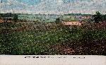 Postcard of spot where Lee and Grant met
