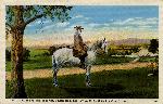 Postcard of Gen. Lee and Traveler