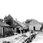 Shaw-Point