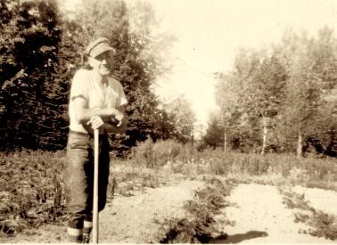 John Nelson at his berry patch