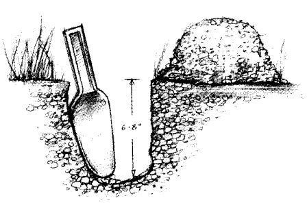 Trowel digging a cathole in the ground for human waste. The hole is six to eight inches deep.