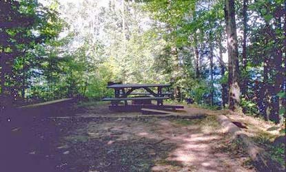 Basswood Site 5