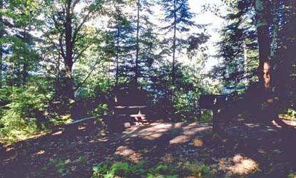 Basswood Site 6