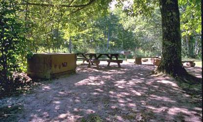 Basswood Site A
